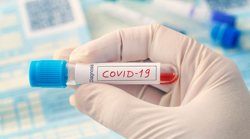 भारतमा कोरोनाको संक्रमणबाट २ लाख ९५ हजार ५०८ जनाको निधन