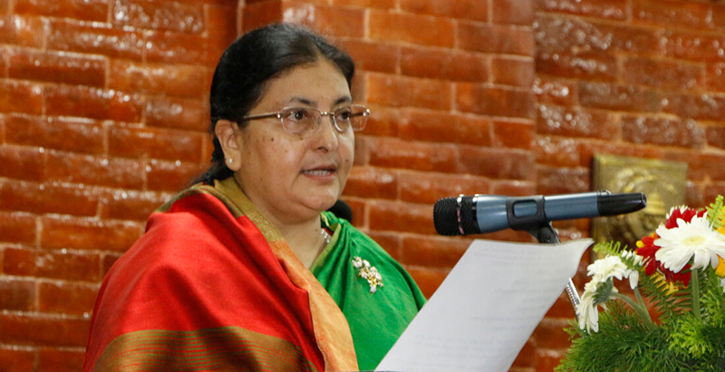 राष्ट्रपति विरुद्ध दुई दर्जन बढी अदालतमा रिट दायर