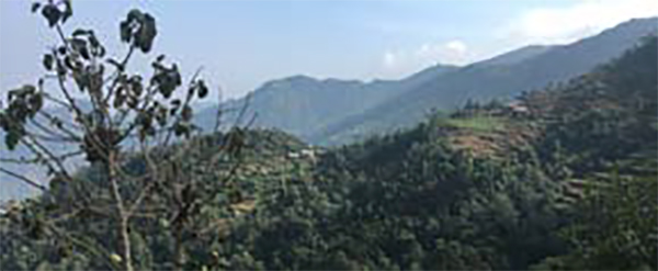 महाभारतको जंगलमा पाइने रूख–बिरुवा एवं जीवजन्तु