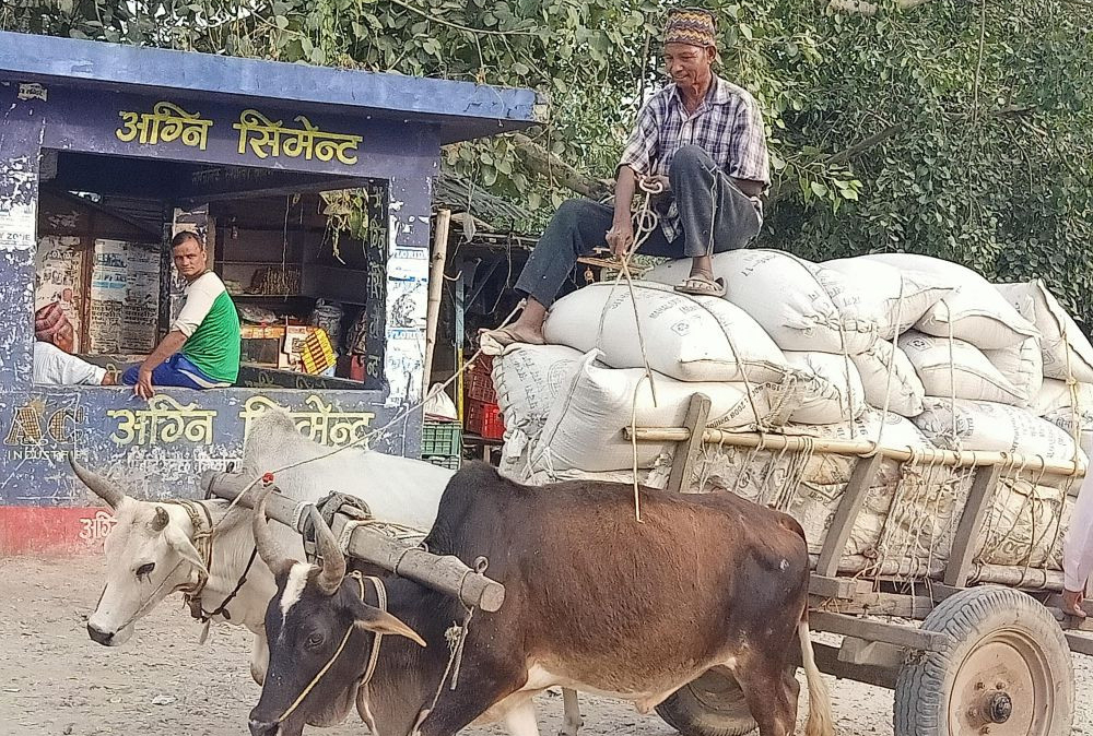 एक लडी धानको १० रुपैयाँ आउँथ्यो