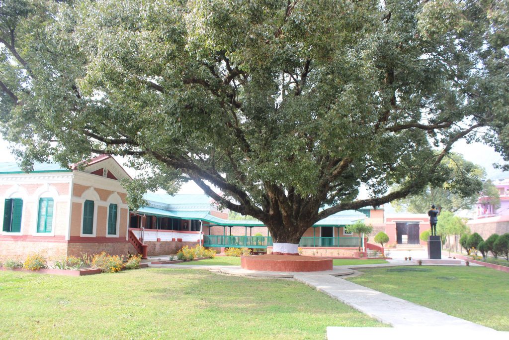 सुन्दरीजल जेल नै वीपी संग्राहलय, पहिलो राजनीतिक संग्रालय