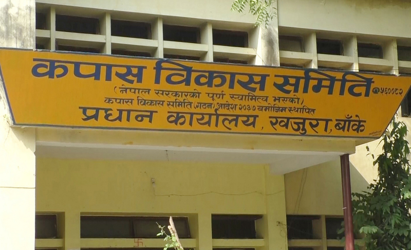 माओवादीको जनयुद्ध, कपास विकास समितिको दुर्दशा