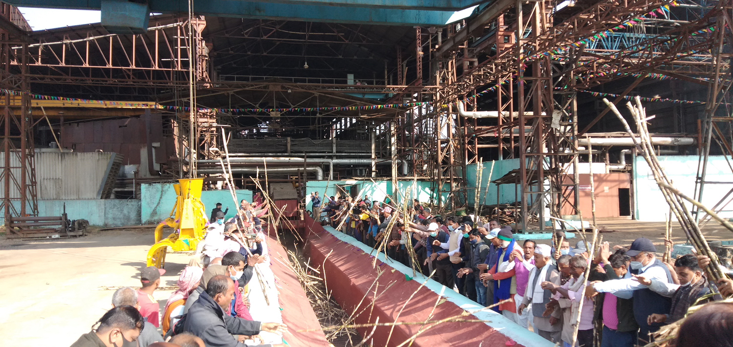 इन्दुशंकर चिनी उद्योगको क्रसिंग तयारी पूरा