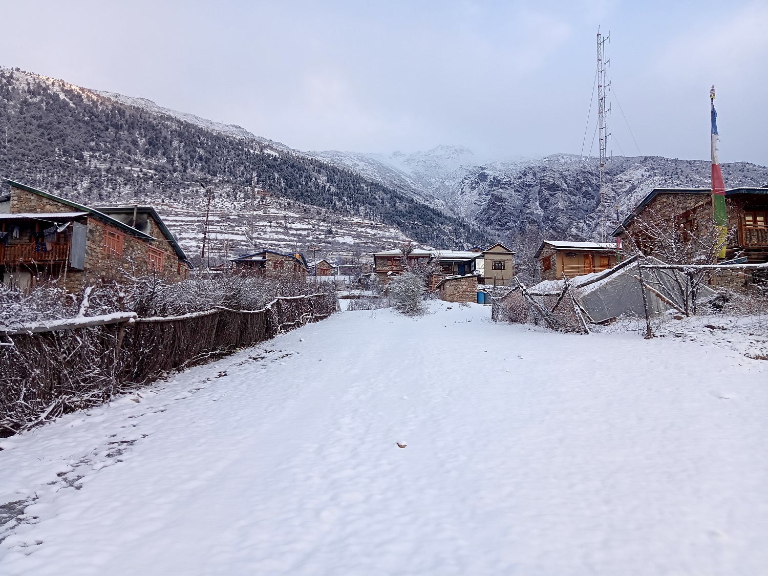 हुम्लामा तीन फिटसम्म हिमपात