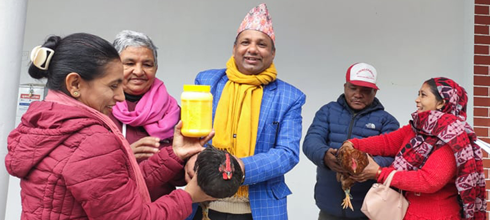 सुत्केरीलाई कुखुराको भाले र घिउ