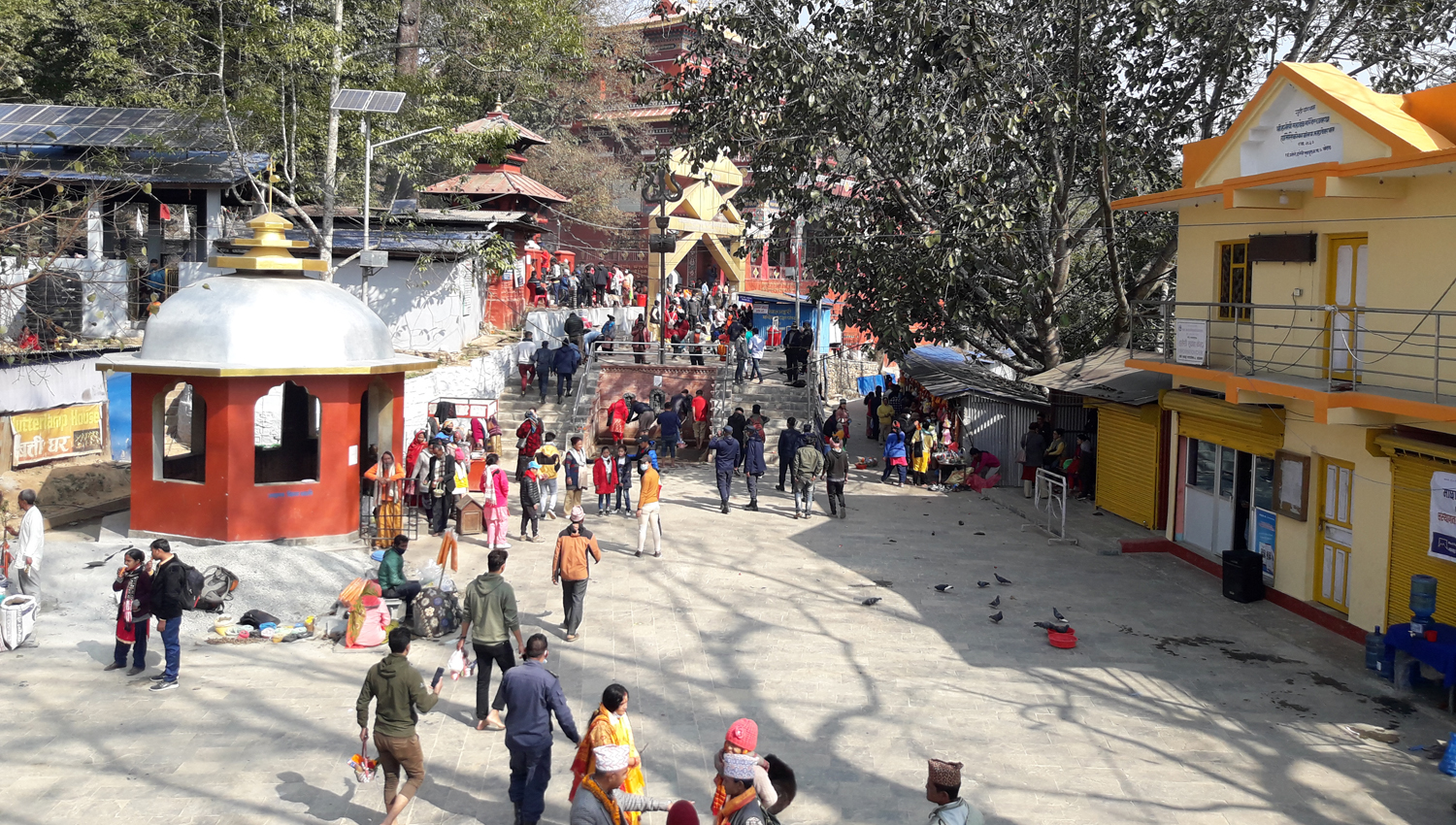 हलेसीमा दुई सातामा ४ लाख ४३ हजार भेटी संकलन