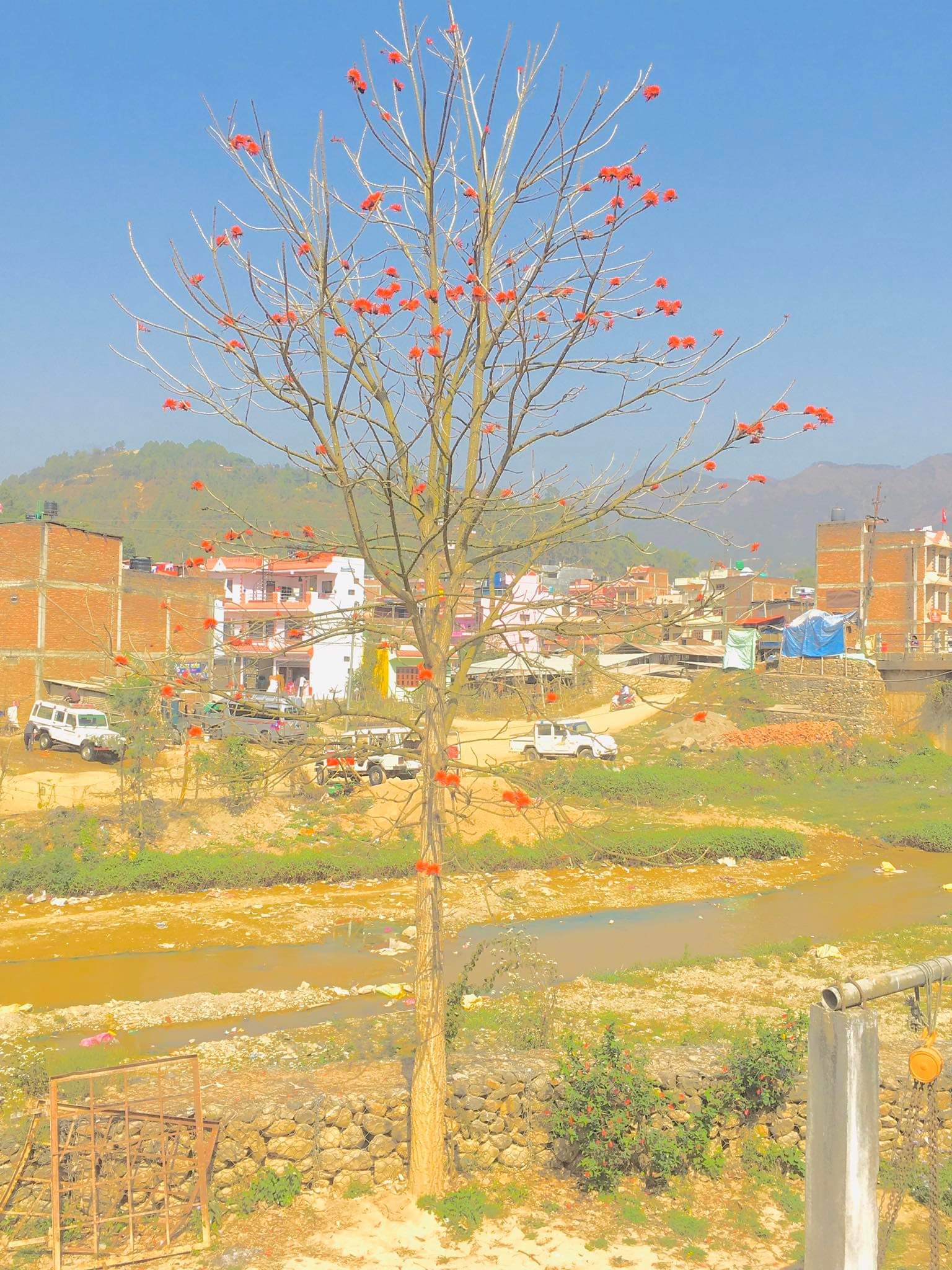 राजनीतिक दलले संचालक समिति बाँडफाँट नगर्दा अधिवेशन अलपत्र