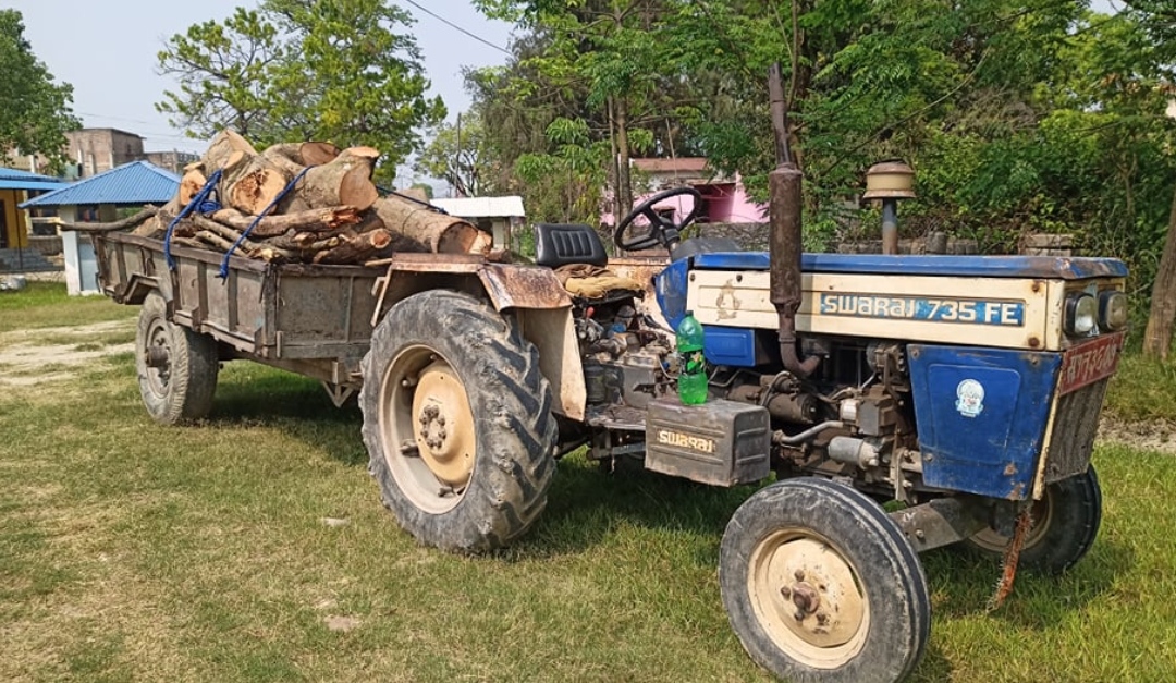 सामुदायीक वनका अध्यक्ष अवैध काठसहित पक्राउ