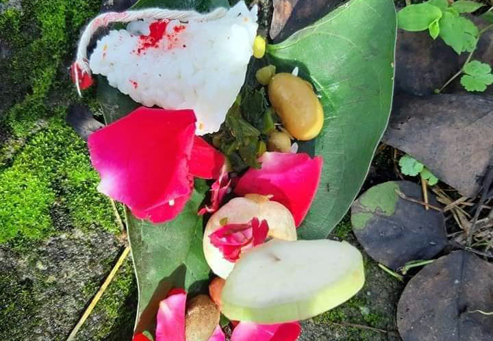 भक्तपुरका भ्यागुताहरूलाई आज भोज !