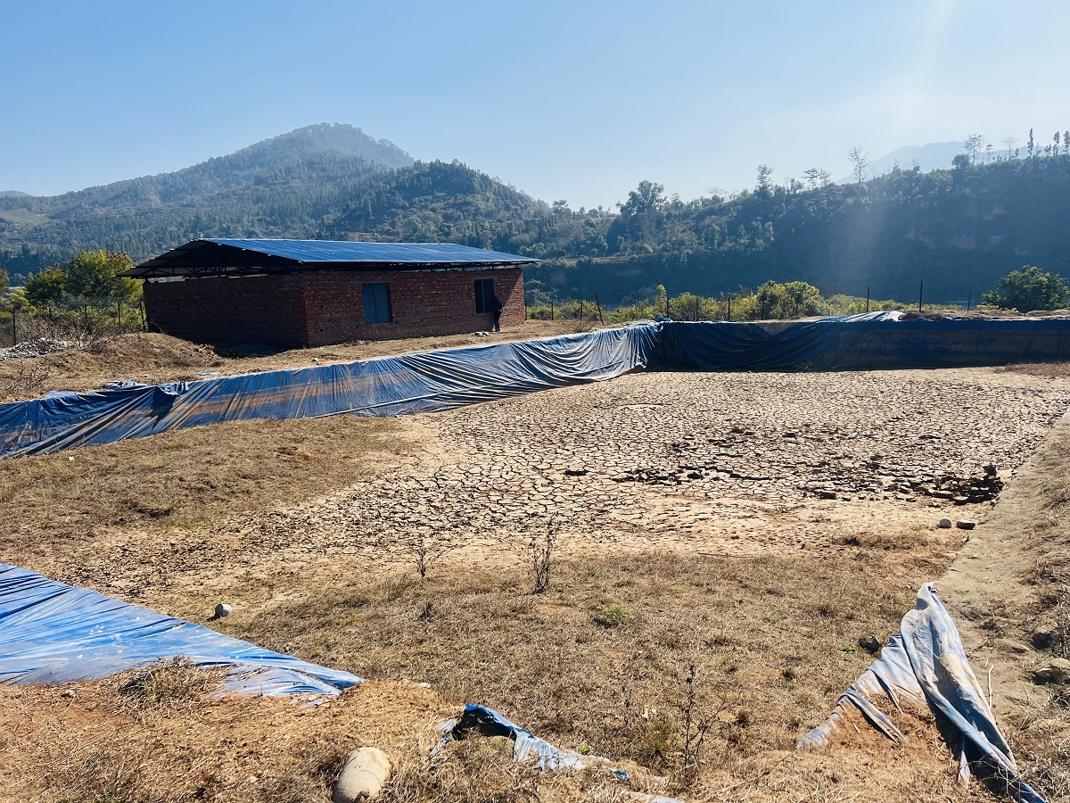 माछापालन गर्न भन्दै एक करोड खर्च, पोखरीको नामनिसान छैन