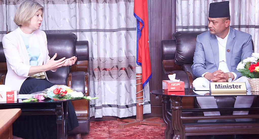 स्वास्थ्य मन्त्री गिरी र बेलायती राजदूतबीच भेटवार्ता