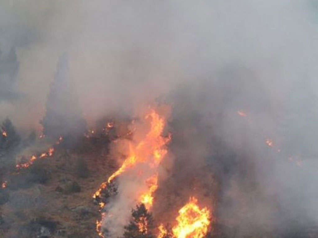 जंगलमा लागेको आगो बस्तीमा पस्दा २ घर जले