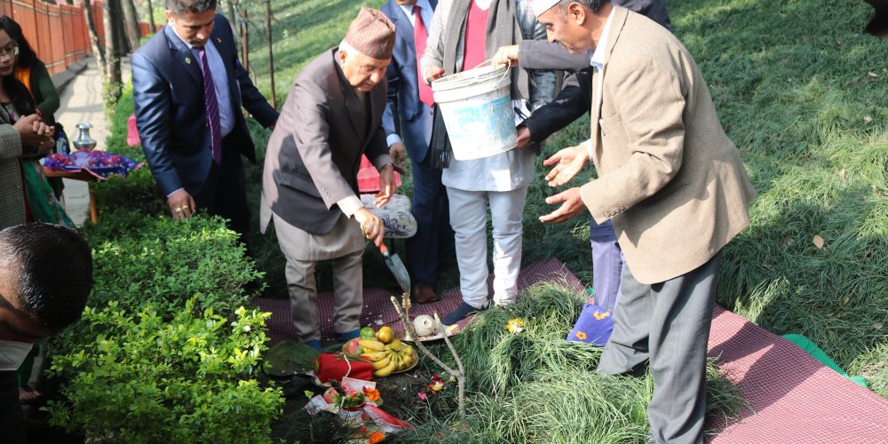 राष्ट्रपति पौडेलद्वारा वनकालीमा वृक्षारोपण