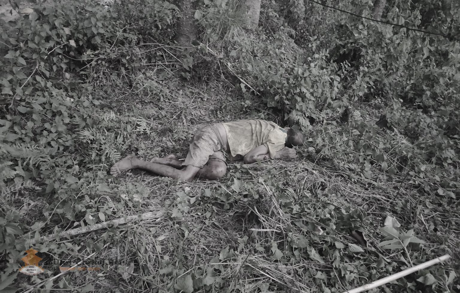 गैँडाको आक्रमणबाट चितवनमा एक पुरुषको मृत्यु