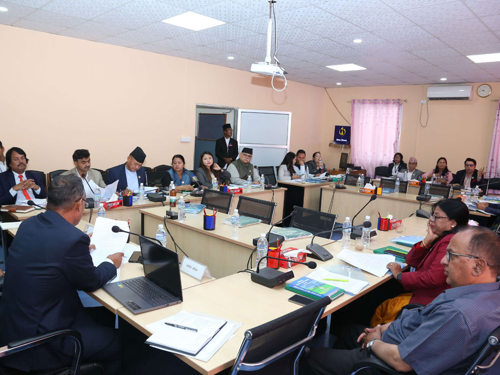 प्रतिनिधि सभाका तीन समितिको बैठक बस्दै