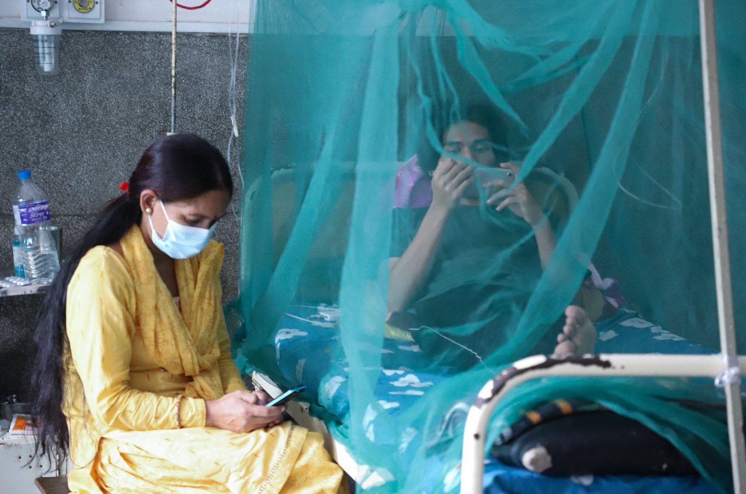 डेङ्गु सङ्क्रमण भदौ र असोजमा उच्च हुने