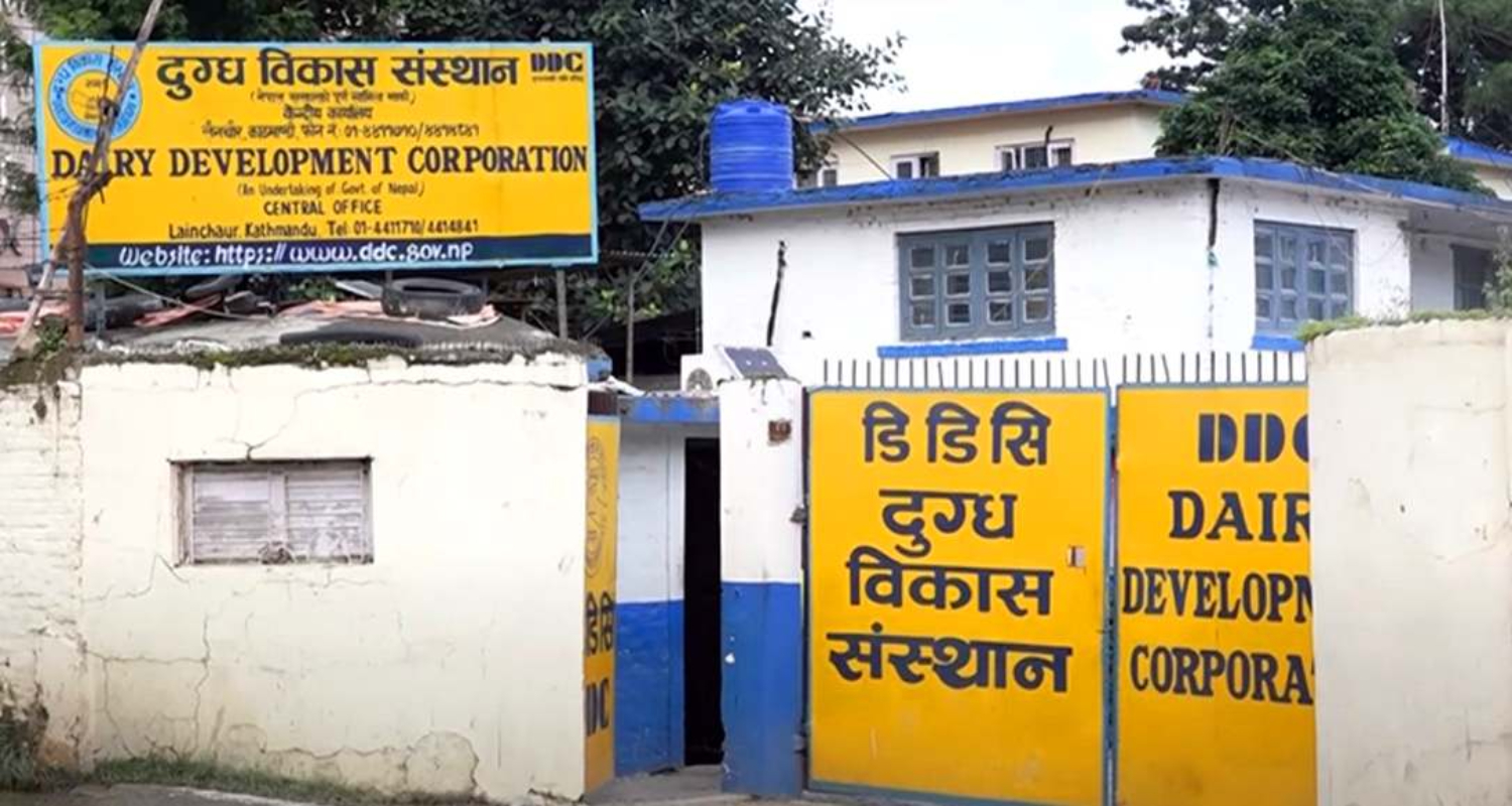 बक्यौता रकम नपाएपछि दुग्ध किसान सडकमा, उखु किसान पनि आन्दोलित