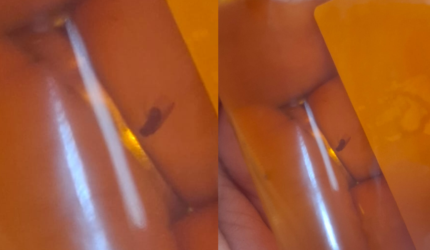 धनुषा डिस्टिलरीको ‘मुस्ताङ गोल्ड’ मा मरेको झिंगा भेटिएपछि दुई लाख जरिवाना