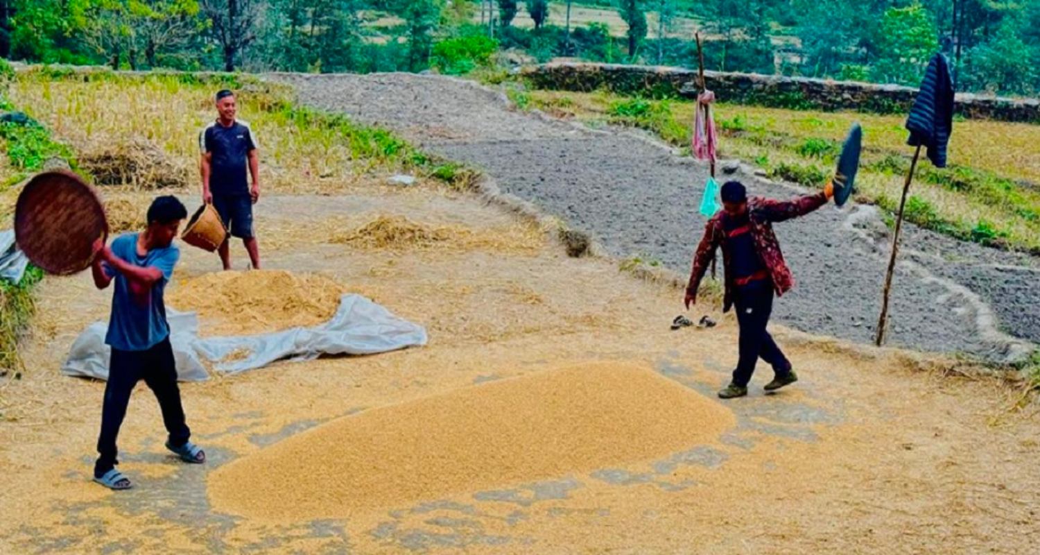 पर्वतको कृषि फड्को: ६५ करोडको आम्दानी