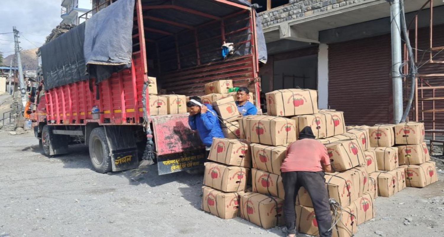 मुस्ताङमा स्याउ उत्पादनले तोड्यो रेकर्ड: १ अर्ब १० करोडको ७ हजार ६ सय टन फल्यो