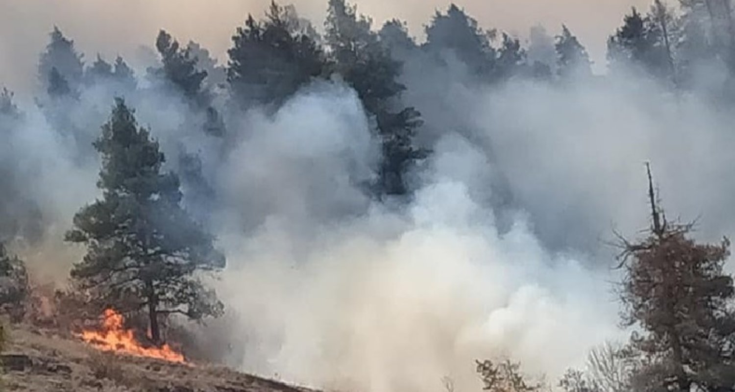 आशा र संयमता: जापानको ओइतामा भीषण आगलागीपछि पनि ठूलो क्षति टर्‍यो