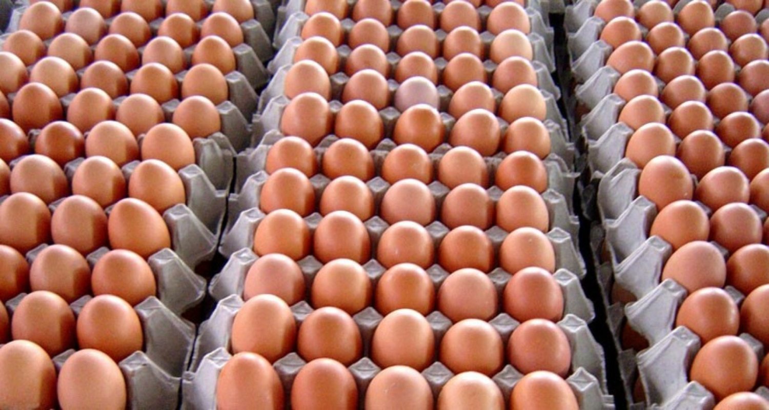 अण्डा किसानको लागत समेट्दै नयाँ मूल्य निर्धारण
